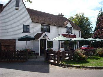 The Old Vine Inn Wadhurst Exteriör bild