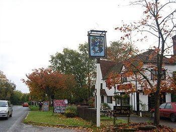 The Old Vine Inn Wadhurst Exteriör bild